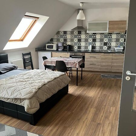 Super Appartement Colmar Centre Eksteriør billede