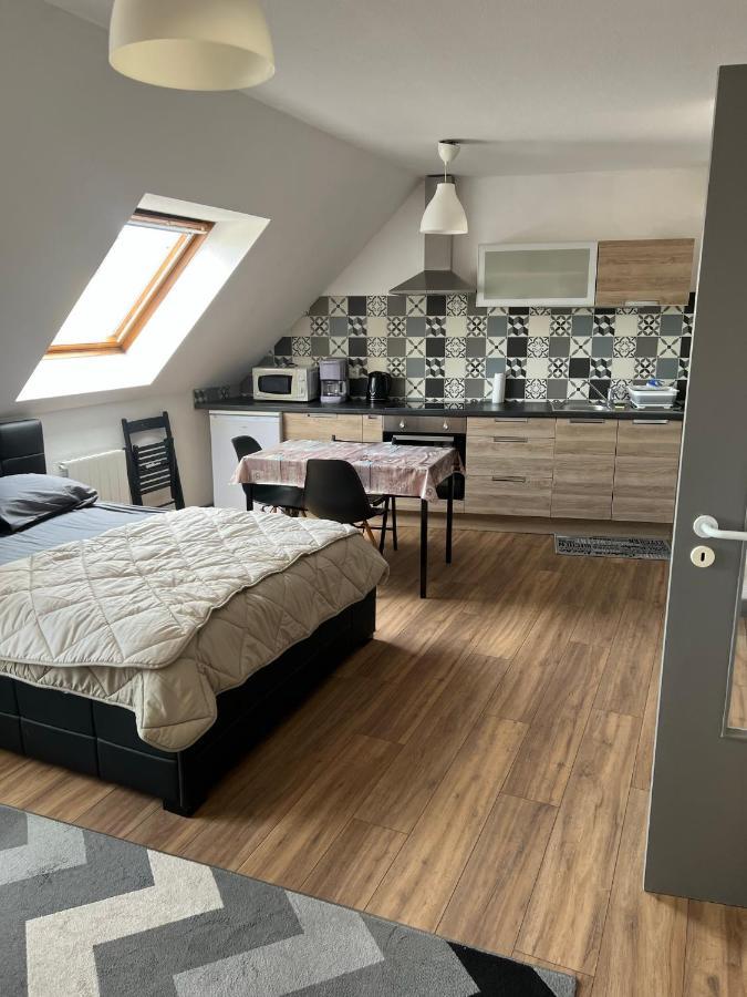 Super Appartement Colmar Centre Eksteriør billede
