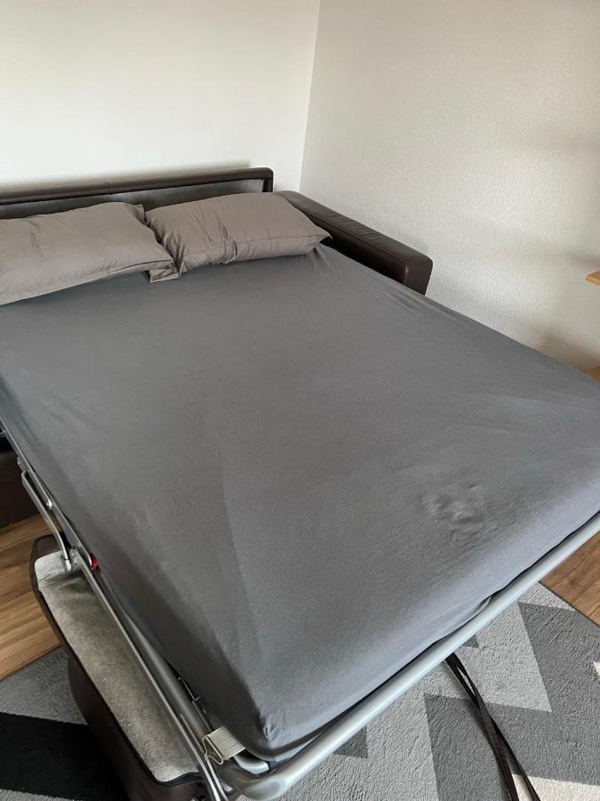 Super Appartement Colmar Centre Eksteriør billede
