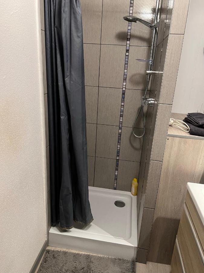 Super Appartement Colmar Centre Eksteriør billede