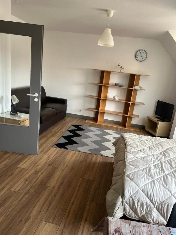 Super Appartement Colmar Centre Eksteriør billede