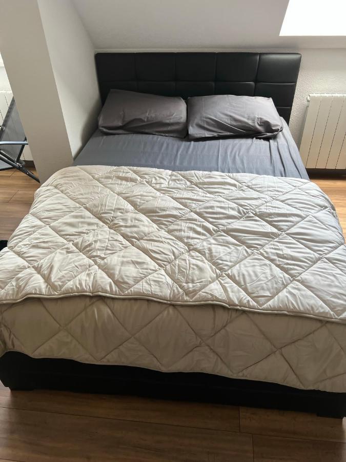 Super Appartement Colmar Centre Eksteriør billede